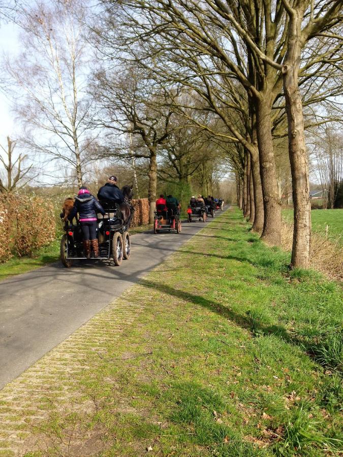 فوردين Wildenborcherhof المظهر الخارجي الصورة